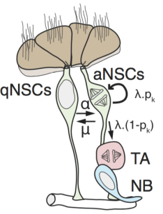 Screen Shot 2018-01-12 at 13.56.31