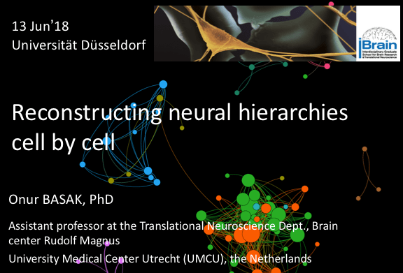 Screen Shot 2018-06-12 at 12.14.50